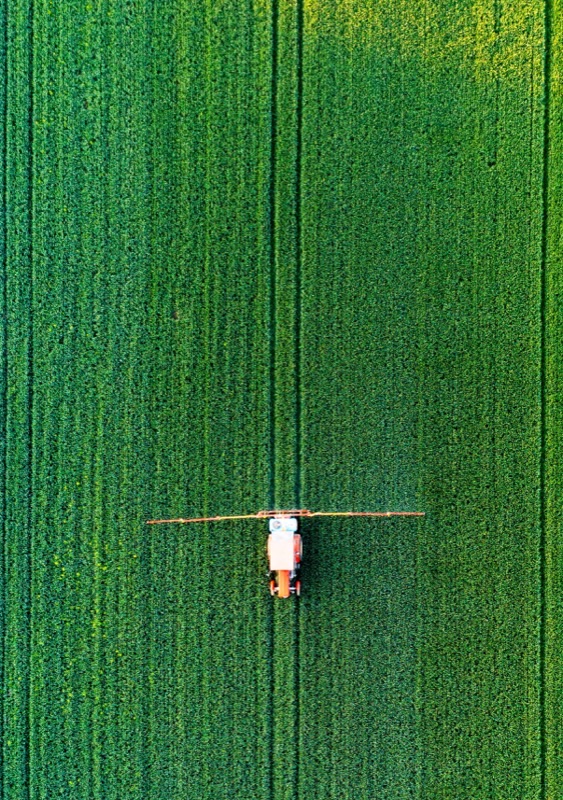 Organisational Design